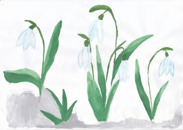Подснежники для дошкольников