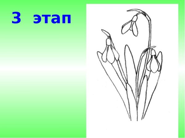 Изо весенние растения