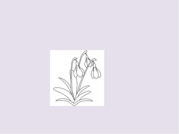 Подснежник рисунок легкий