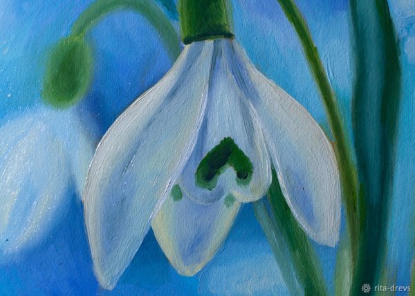 Подснежники масляной пастелью