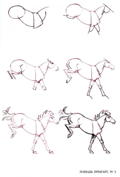 Схема рисования лошади карандашом