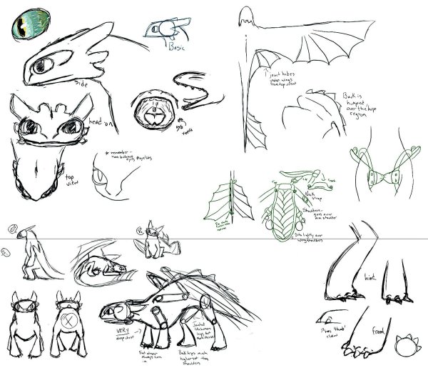 Анатомия ночной фурии дракона