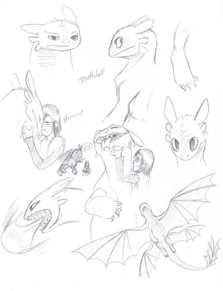 Референс драконы ночные фурии