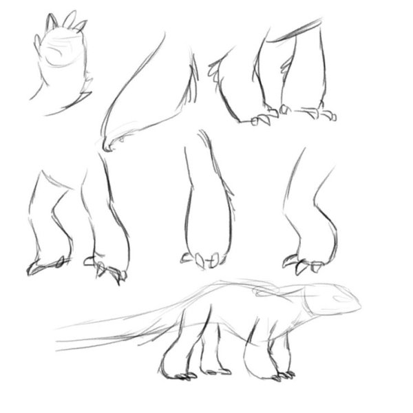 Лайн дракона ночной фурии