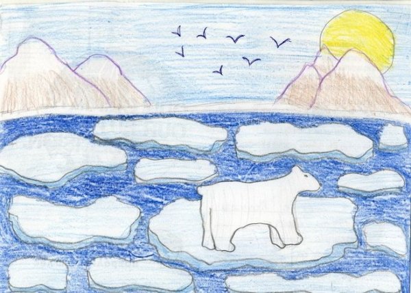 Арктика рисунок