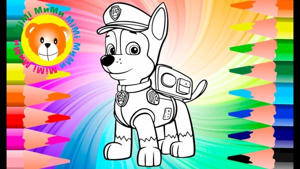 Поэтапное рисование гонщика