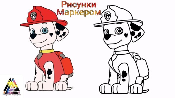 Щенячий патруль Маршал и Зума и гонщик