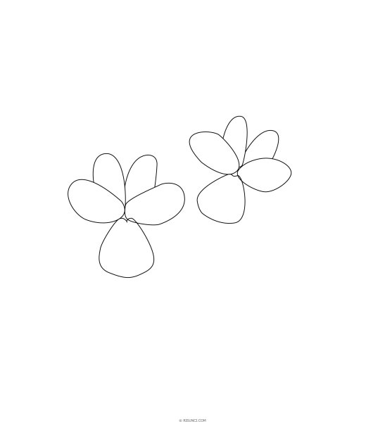 Фиалка рисунок карандашом для начинающих