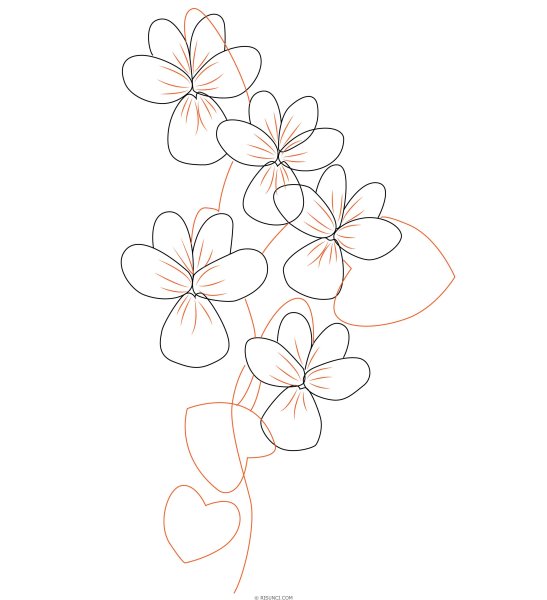 Поэтапный рисунок фиалки