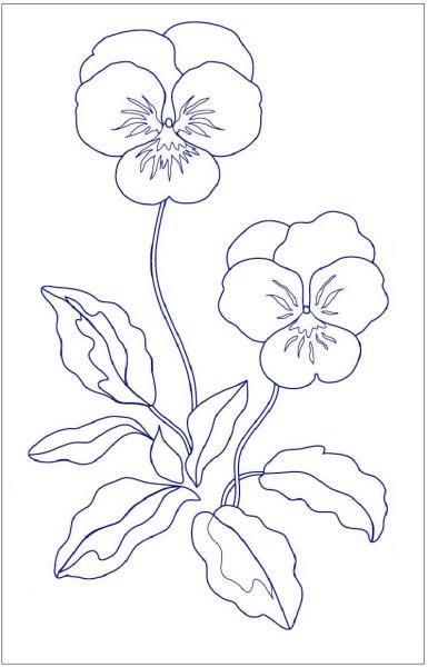 Фиалка эскиз