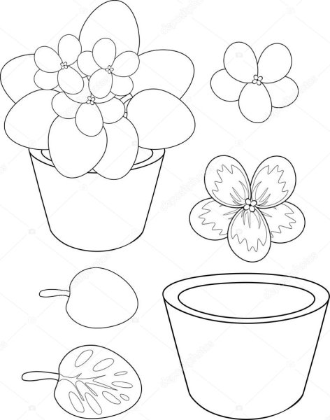 Рисование фиалка в горшке