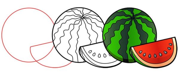 Поэтапное рисование арбуза