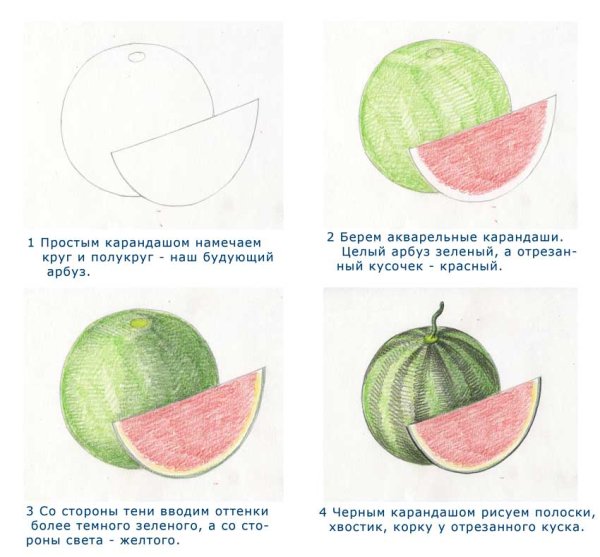 Фрукты поэтапное рисование