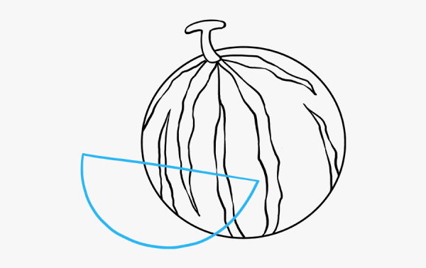 Пошаговое рисование арбуза