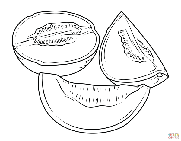 Дыня раскраска
