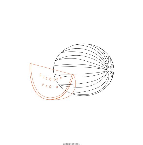 Дыня поэтапно