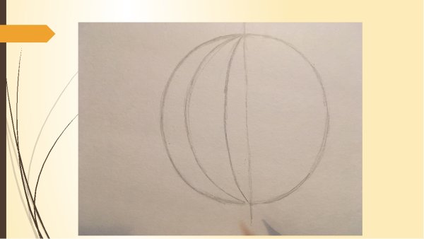 Дыни в карандаше с тенями