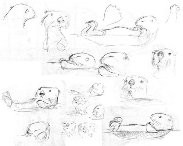 Поэтапное рисование выдры