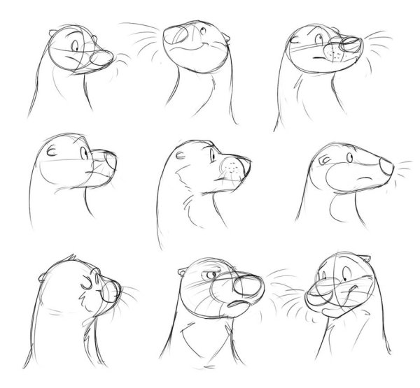 Поэтапное рисование выдры