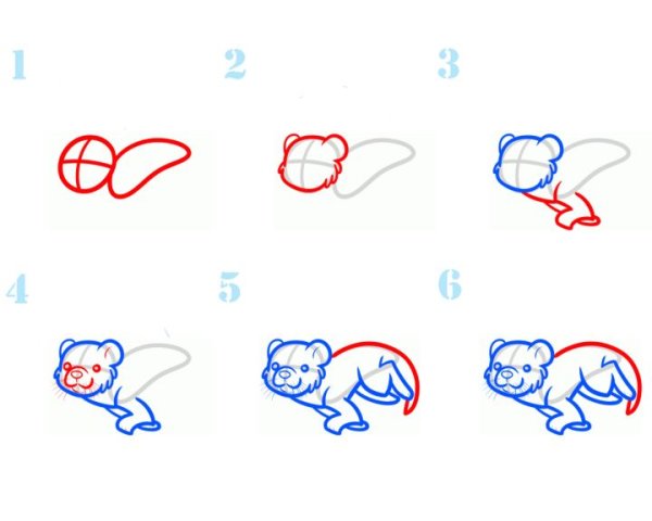 Поэтапное рисование выдры для детей