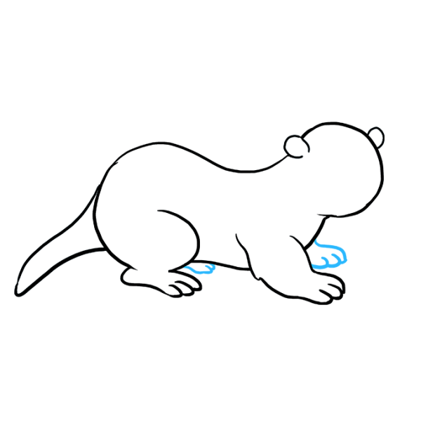 Поэтапное рисование выдры для детей