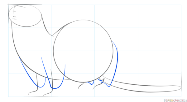 Поэтапное рисование выдры для детей