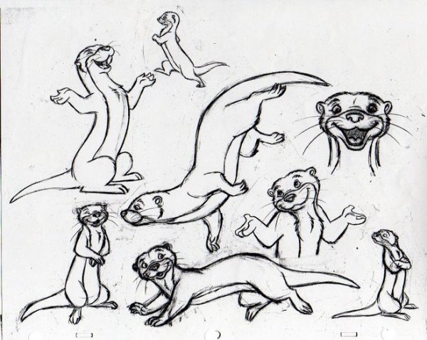 Выдра рисунок легкий