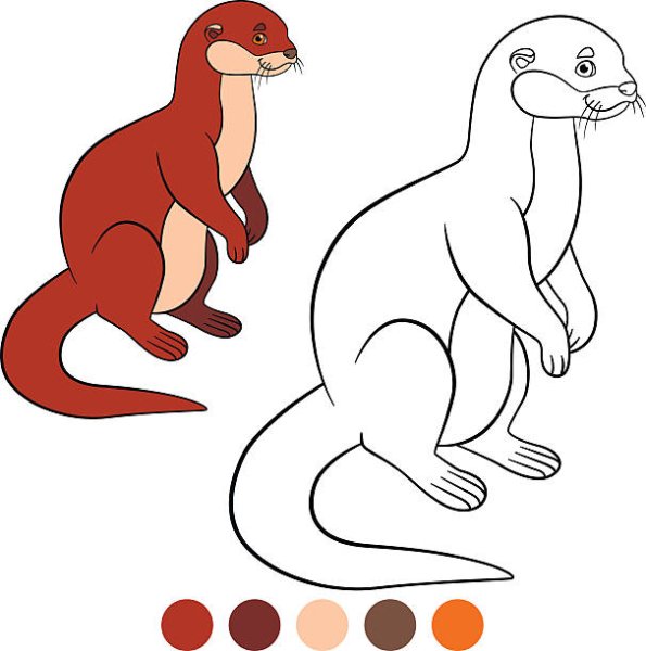 Выдра рисунок легкий для детей