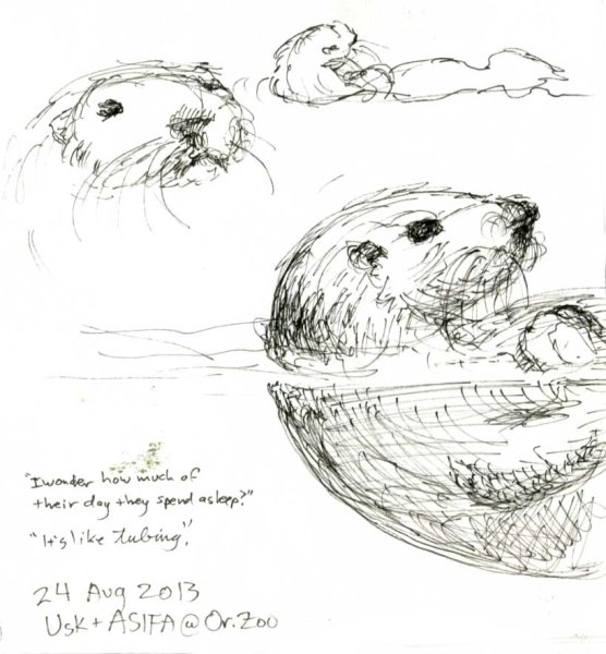 Калан скетч