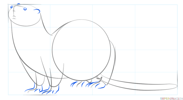 Поэтапное рисование выдры для детей