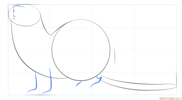 Как нарисовать выдру легко для начинающих