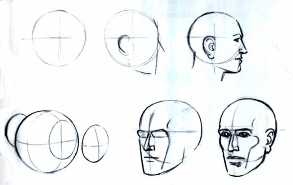 Поэтапное рисование лица в профиль