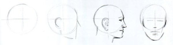 Поэтапное рисование головы в профиль