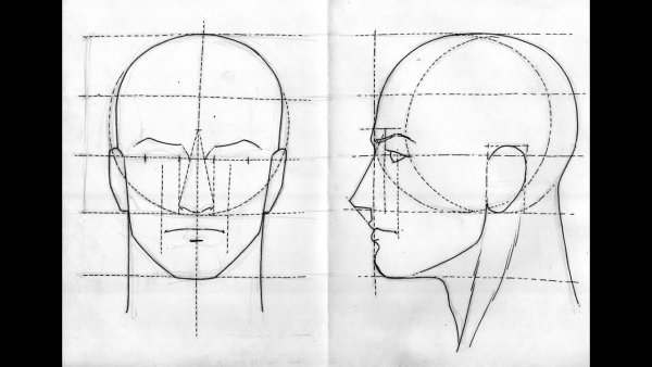 Техника рисования головы человека