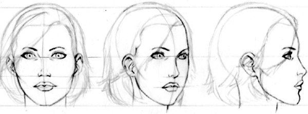 Портрет человека в анфас и профиль