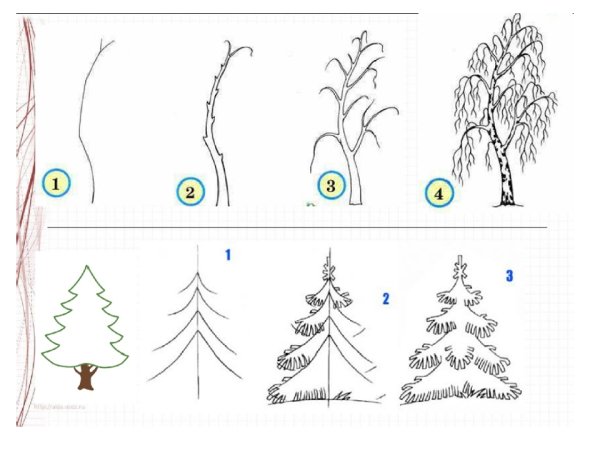 Поэтапное рисование дерева