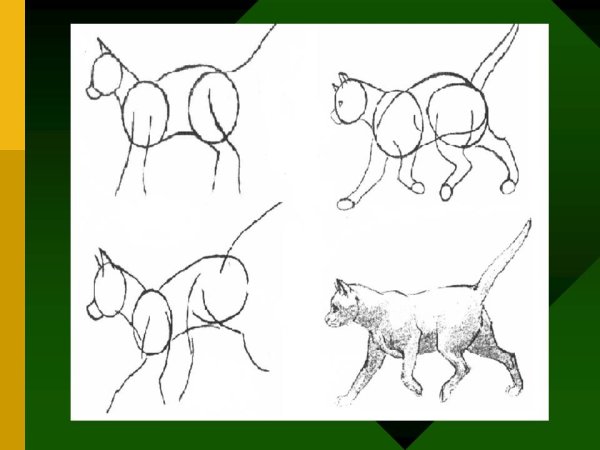 Наброски животных по памяти и представлению
