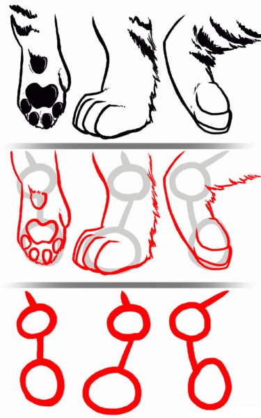 Мультяшные лапы