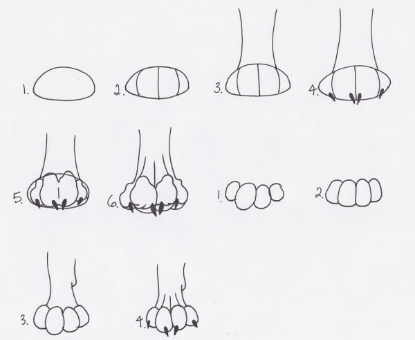 Кошачьи лапки для рисования
