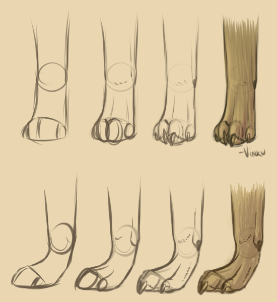 Лапы кота туториал