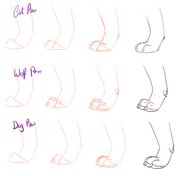 Рисование лап кошки