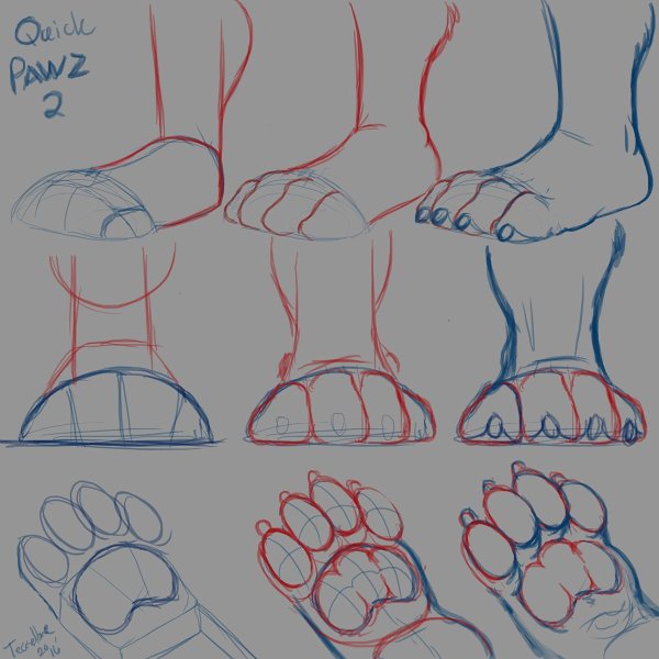 Рисование лап фурри