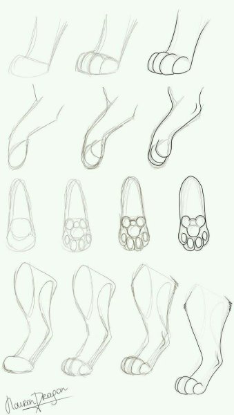 Лапы для рисования