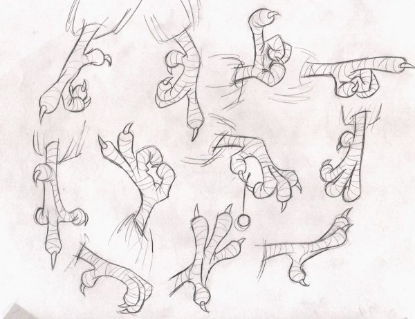 Птичьи лапы туториал