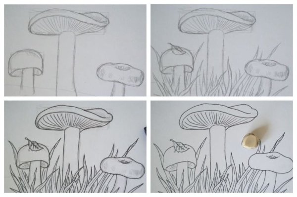 Рисование грибов сыроежки
