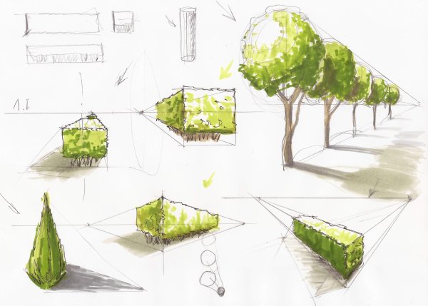 Скетчинг техника быстрого рисунка