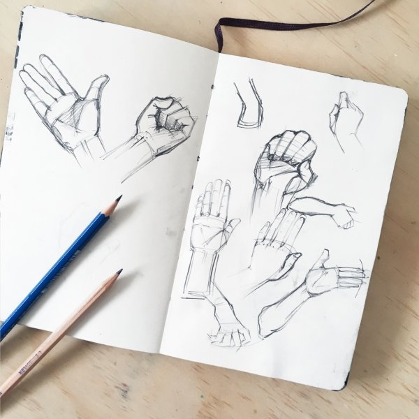 Зарисовки группы деревьев кустарников