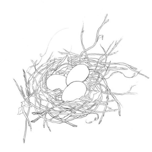 Рисование гнездо