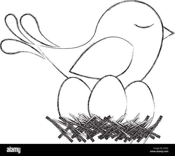 Гнездо трафарет