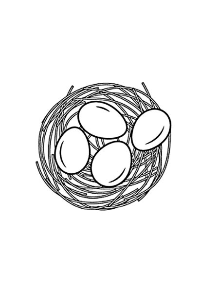 Гнездо для раскрашивания для детей